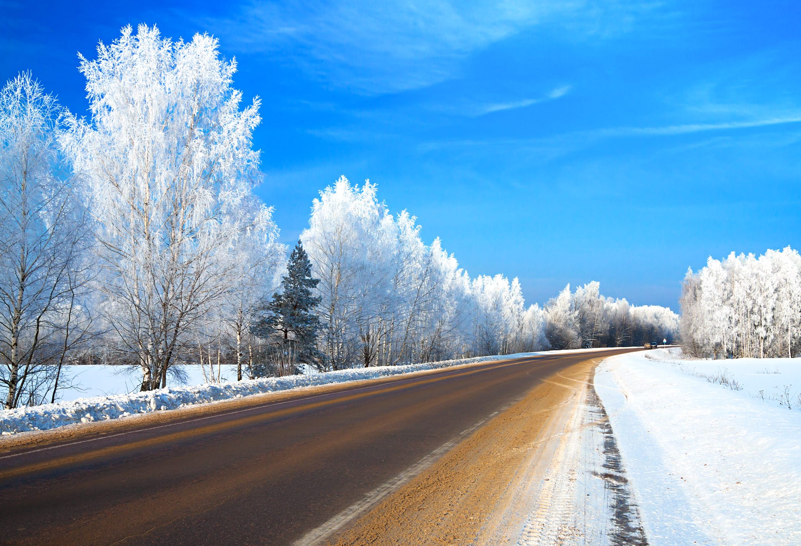 A snow-covered road lined with frosted trees under a clear blue sky.